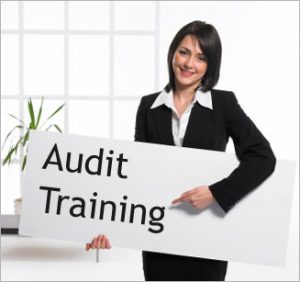 Pelatihan Risk-Based Audit - Internal Audit Berbasis Risiko