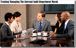 Training Managing The Internal Audit Department