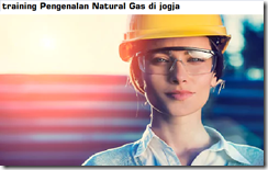 pelatihan Natural Gas Engineering Properties Estimation and Pipe Line Network Design for Distribution and Processing di jogja