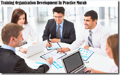 Training Organization Development In Practice