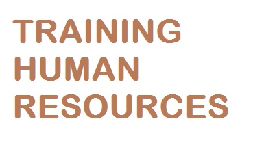 training Human Resources murah