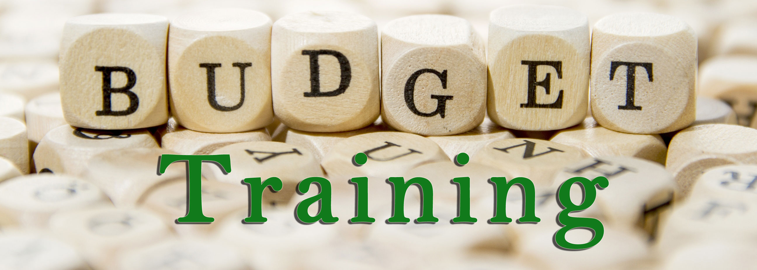 Training Developing Budget Using Microsoft Excel