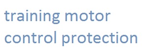 training motor control protection murah
